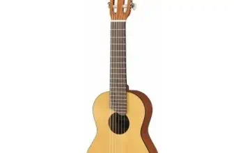 Barnegitar best i test